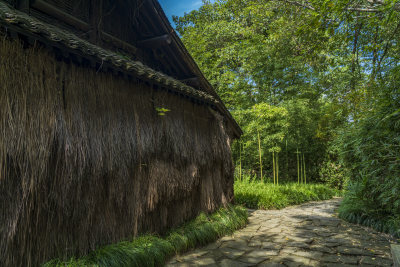 杭州西溪国家湿地公园梅竹山庄