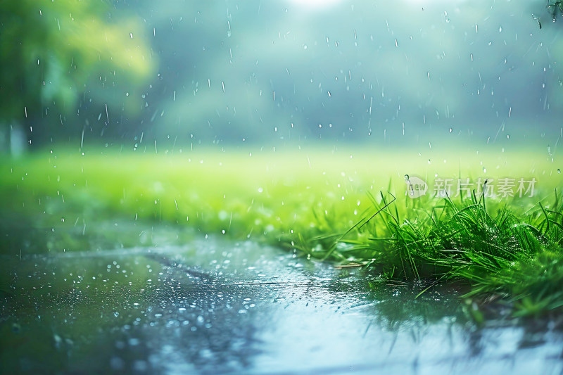 自然风景植物背景雨水