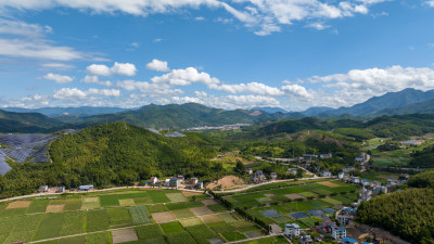 航拍乡村绿色稻田 乡村振兴