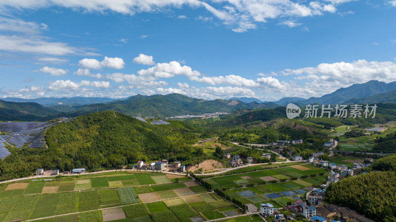 航拍乡村绿色稻田 乡村振兴