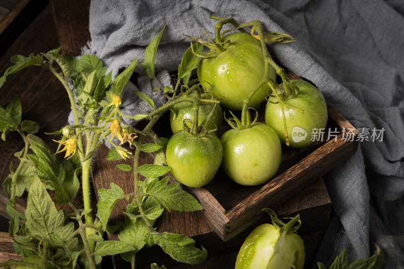 简单背景下的新鲜绿番茄