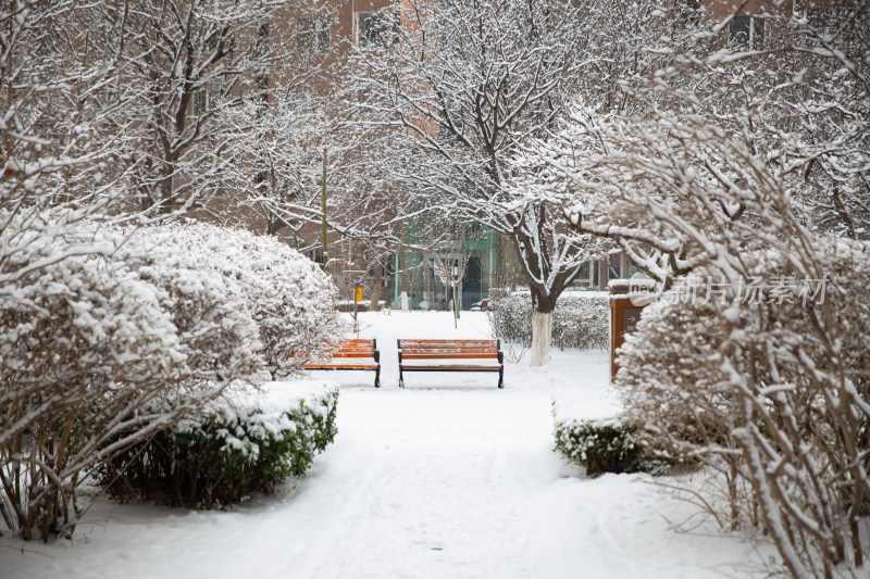 城市小区大雪后的长椅