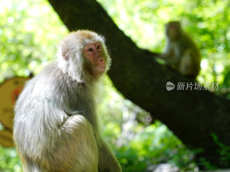 山西阳城 蟒河