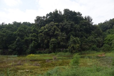 广东韶关：丹霞山阳元石景区