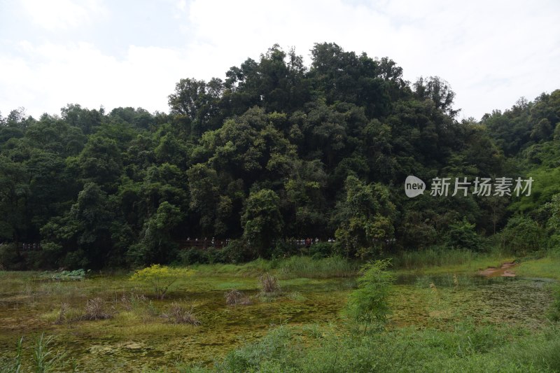 广东韶关：丹霞山阳元石景区