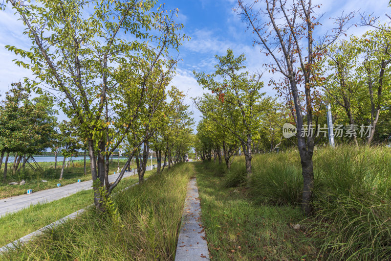 武汉江夏中央大公园风景