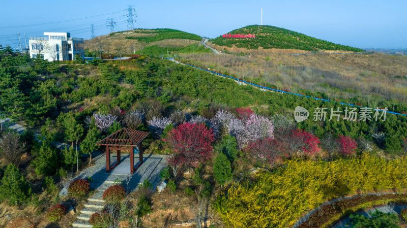 绿水青山就是金山银山荒山绿化环境保护