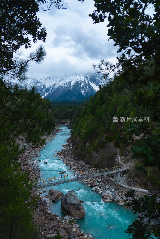 西藏林芝的雪山森林河流
