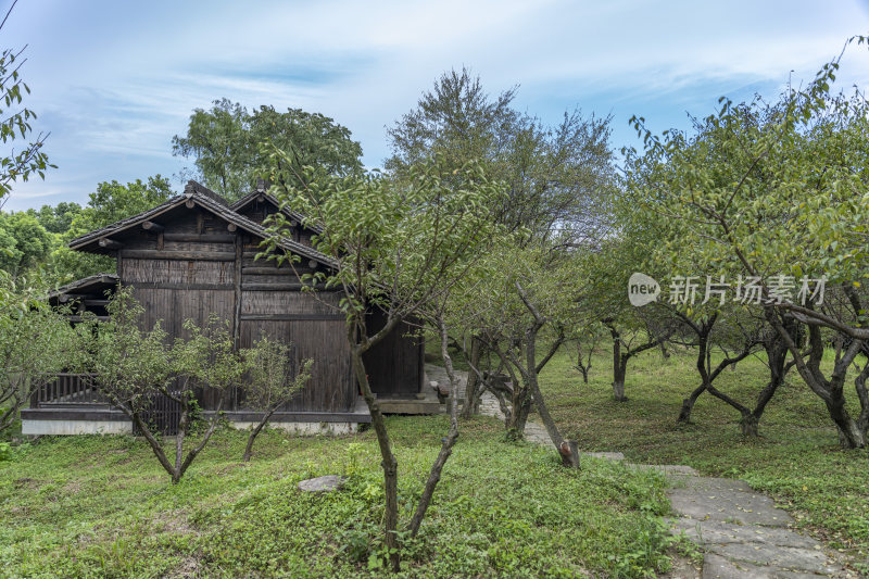 杭州西湖花港观鱼风景