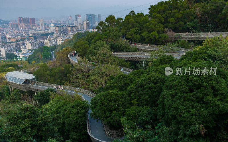 福州福道山林中蜿蜒的观景步道