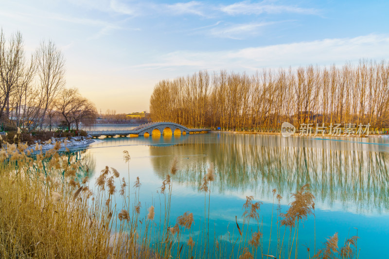 深秋的湖泊树林风景