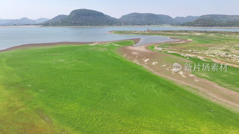 山东枣庄周村水库湿地草原风光