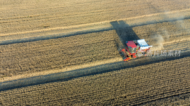 航拍麦田里收割机收割小麦
