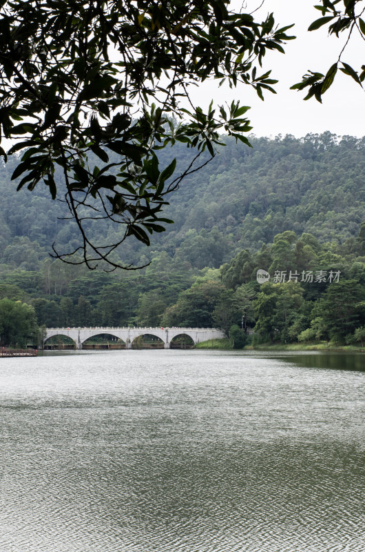 广州番禺大夫山森林公园