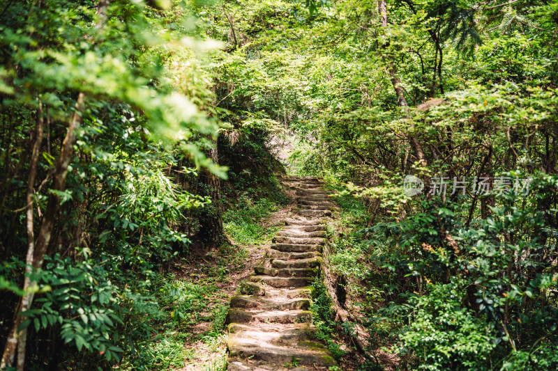 南平武夷山