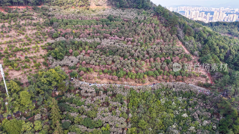 湖南怀化中坡山国家森林公园航拍