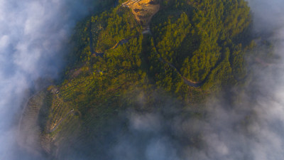 江南高山群山晨曦云海云雾浙江丽水松阳