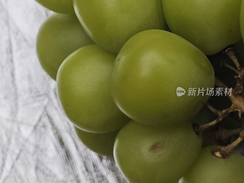 青葡萄特写果实饱满呈现新鲜状态