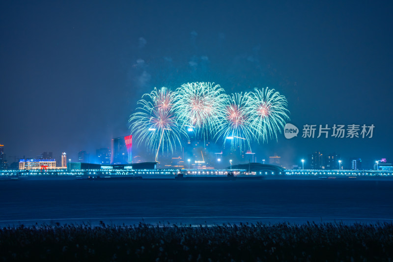 新年夜空中绽放的烟火