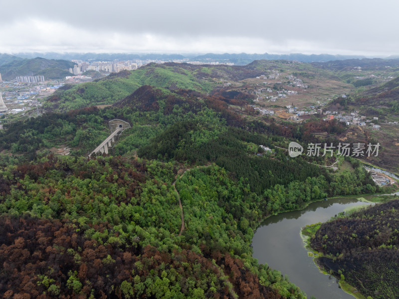 贵州毕节山火区域春天万物复苏