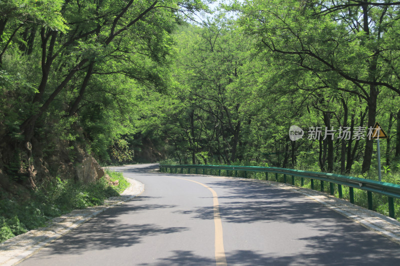 盘旋山路林荫马路