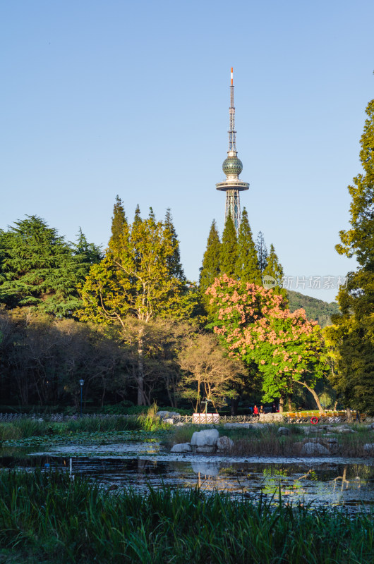 青岛中山公园秋日风光