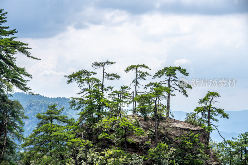 中国湖南张家界景区奇特山峰与茂密森林