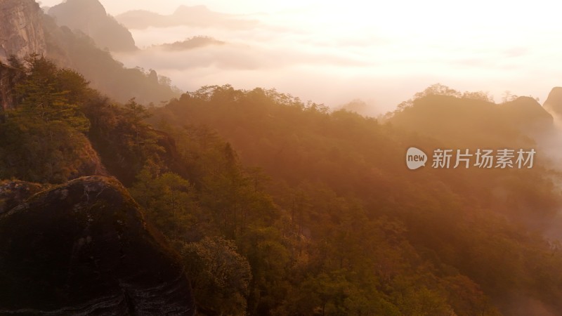 晨曦中云雾缭绕的山林自然景观