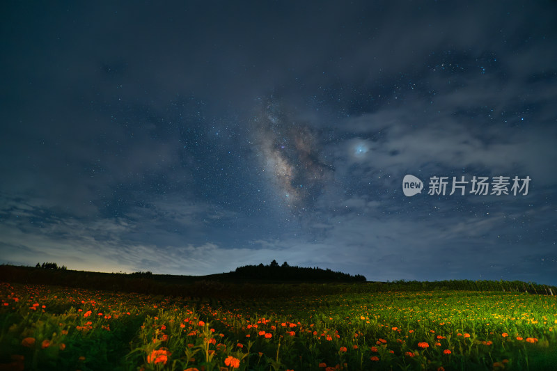 星空下的花田夜景