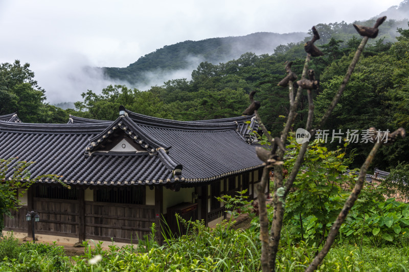 韩国全罗南道顺天曹溪山