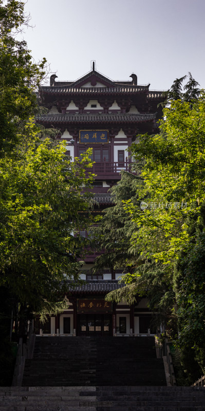 河南三门峡陕州公园天鹅湖景点景观