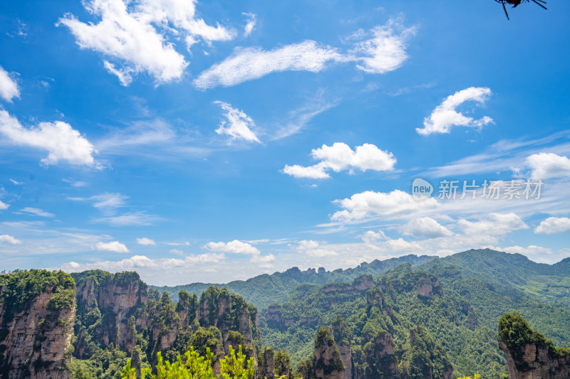 中国湖南张家界景区奇特山峰与茂密森林