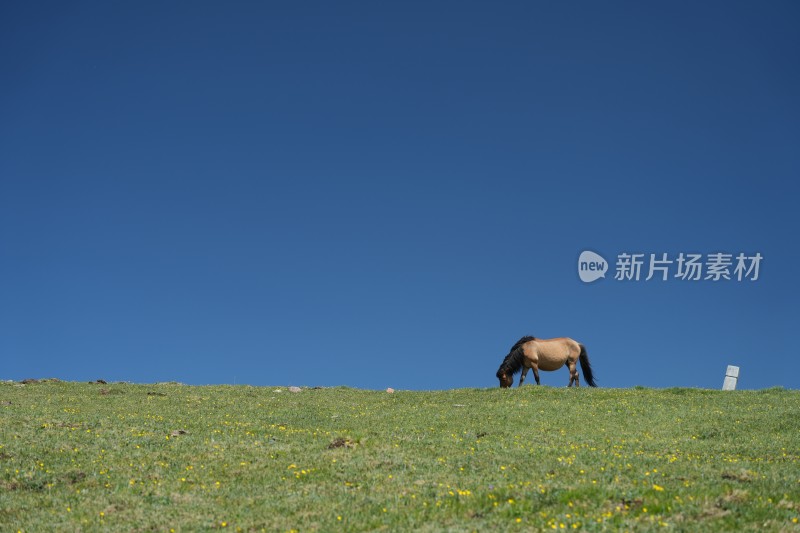 五台山南台风光