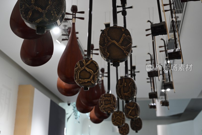 悬挂展示的传统民族弦乐器
