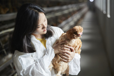 身穿防护服怀抱家禽的年轻女性饲养员