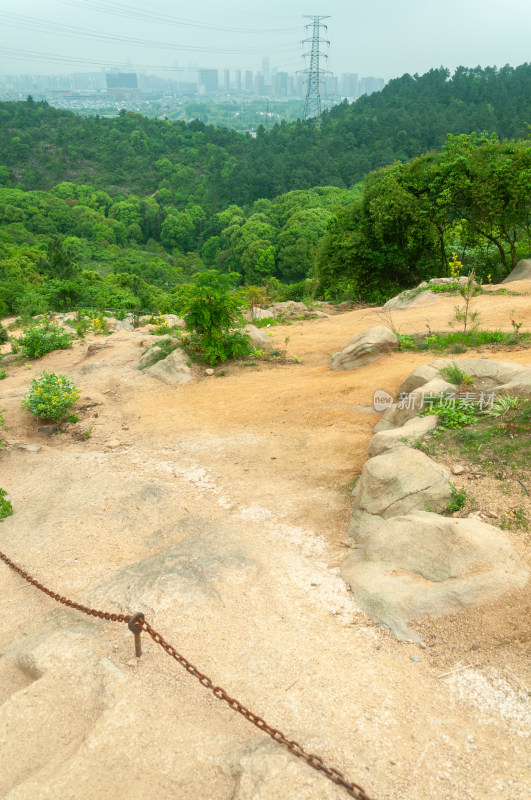 山中的自然风景