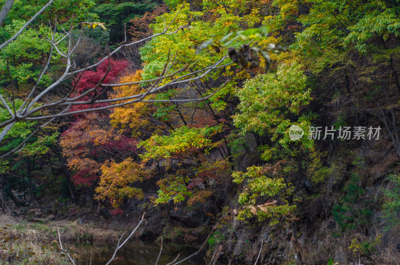 河南省洛阳白云山九龙潭秋天风景