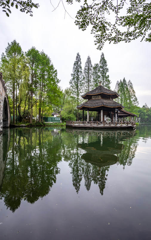 杭州西湖茅家埠黛色参天自然风景景观