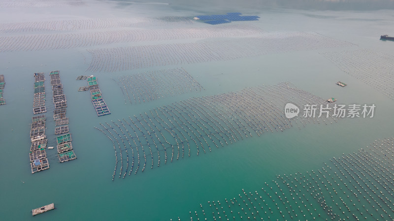 福建海水养殖场