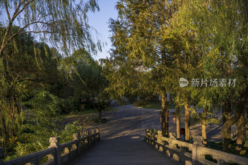 杭州西湖茅家埠江南水乡风景