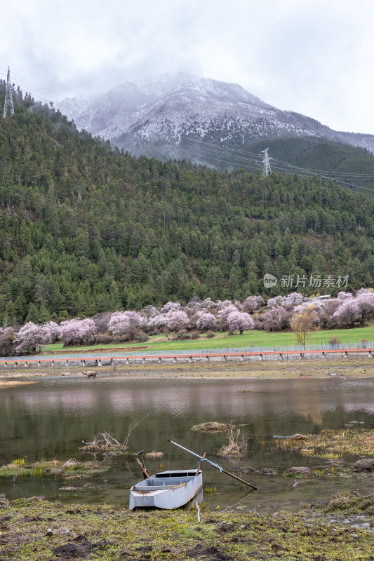 西藏林芝地区藏王故里桃花沟云雾高原村庄