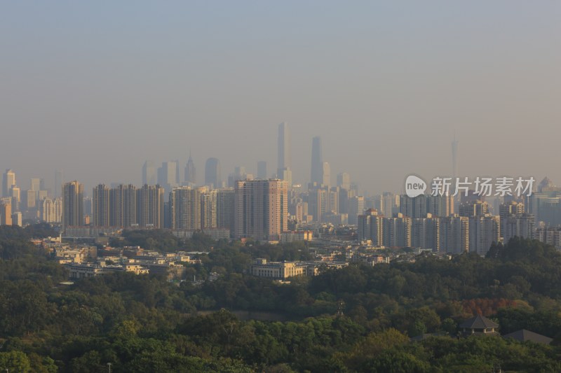 城市建筑群与绿植景观