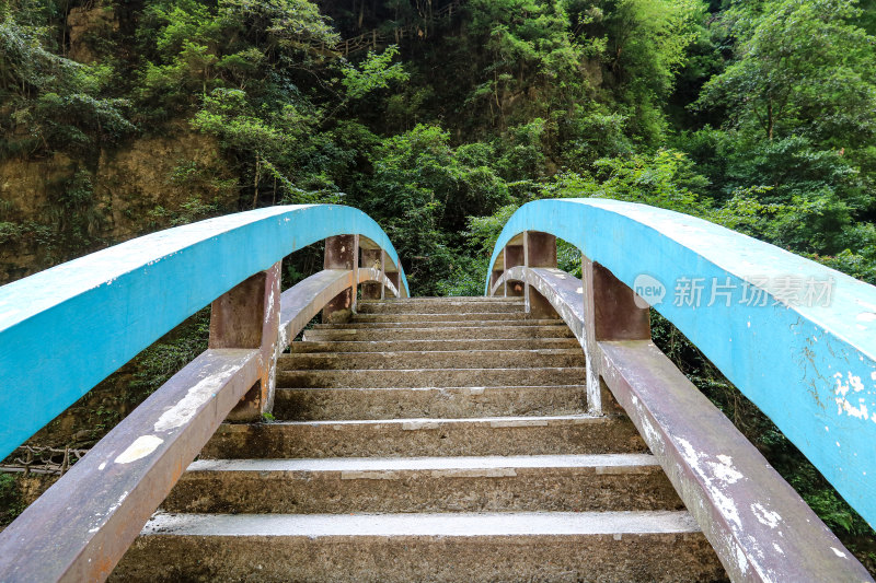 湖北宜昌三峡竹海风景区，自然风光，竹海