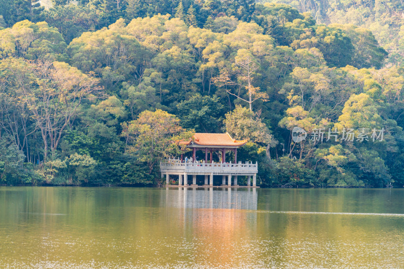 广东省深圳市仙湖植物园自然风光观景台