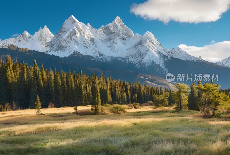 雪山高原草原森林风景