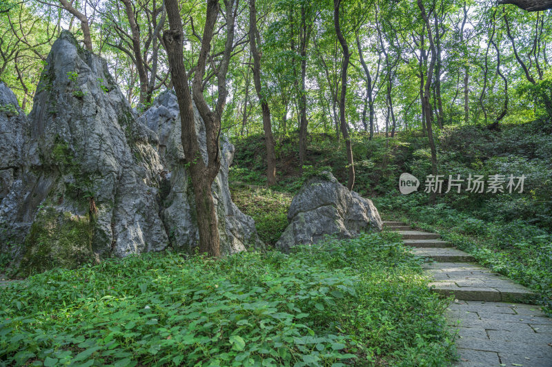 杭州凤凰山景区月岩石灰岩石林