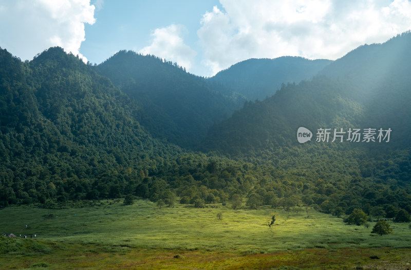 乐山峨边黑竹沟马里冷旧