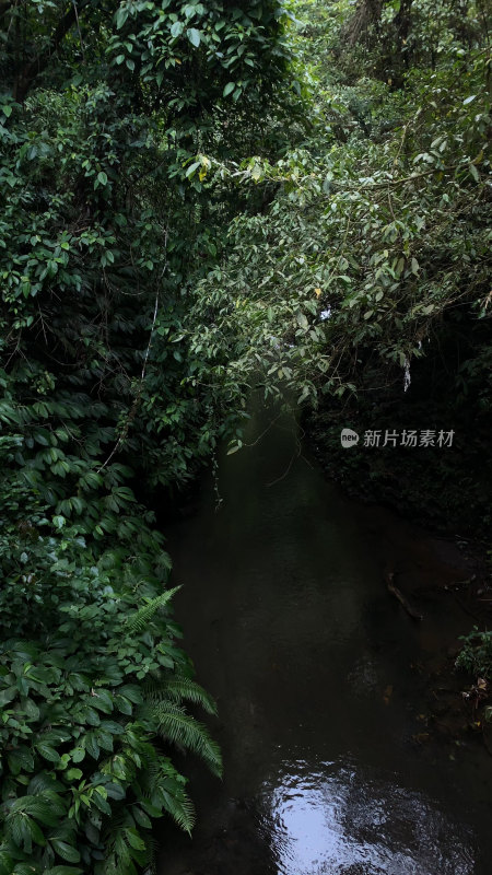 巴厘岛热带雨林中的瀑布溪流