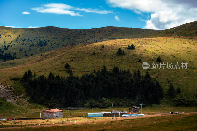 川西草原高山牛马建筑公路美景素材