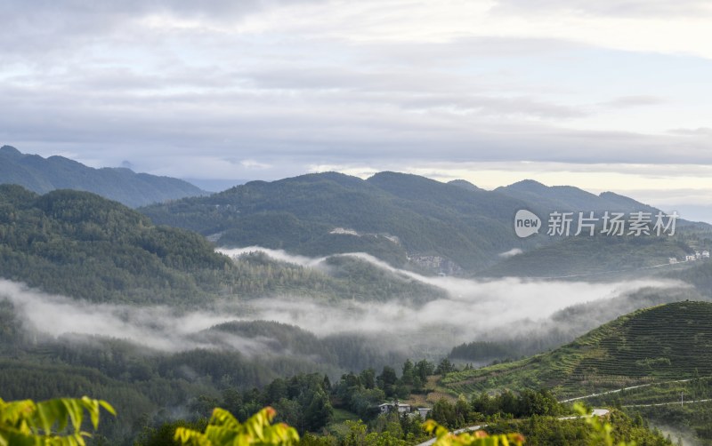 重庆酉阳：近秋的清晨